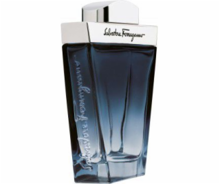 Salvatore Ferragamo Subtil EDT 100 ml