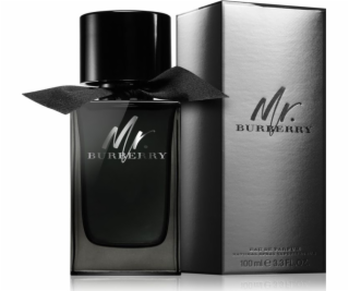 Burberry Mr. Burberry EDP 100 ml