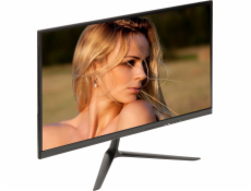 Monitor VM-2411W-P