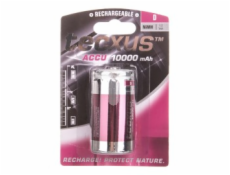 Baterie Tecxus D/R20 10000mAh 1 ks.