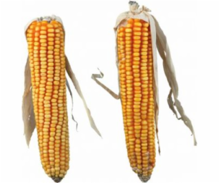 Trixie CORN COBS, 2 ks/250 g