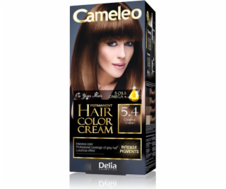 Delia Cosmetics Cameleo HCC Permanentní barva Omega+ č. 5...