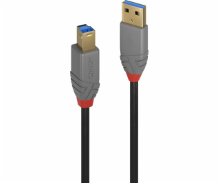 Lindy USB-A - USB-B USB kabel 2 m černý (36742)