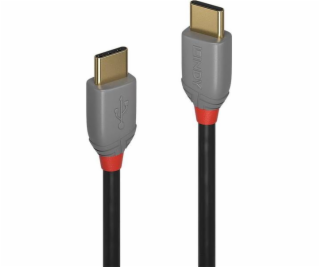 Lindy USB-C – USB-C kabel USB 2 m šedý (36872)