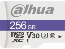 Paměťová karta DAHUA TF-C100/256GB 256GB