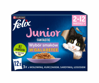 Felix Fantastic jelly food for kittens in jelly beef  chi...