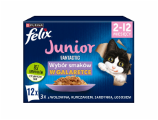 Felix Fantastic jelly food for kittens in jelly beef  chicken  salmon  sardine - 12x 85 g