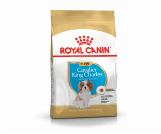 Royal Canin BHN Cavalier King Charles Spaniel Puppy - suc...