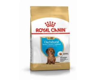 Krmivo Royal Canin SHN Plemeno Jezevčík Jun 1,5 kg