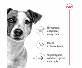 ROYAL CANIN Mini Aging Adult +12 - suché krmivo pro psy -...