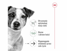 ROYAL CANIN Mini Aging Adult +12 - suché krmivo pro psy - 3 5 kg