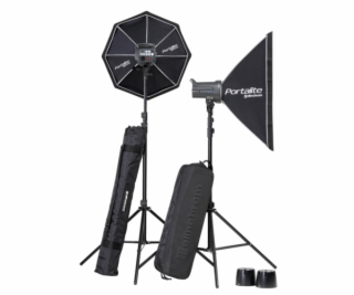 Elinchrom D-Lite RX 4/4 TO GO Set