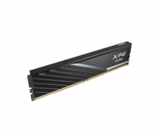 ADATA DIMM 16 GB DDR5-6000 (1x 16 GB), RAM