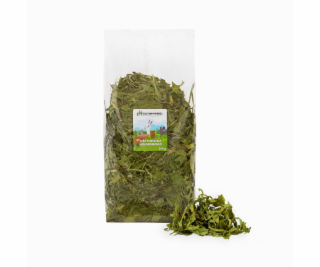 FACTORYHERBS Dandelion leaf - treat for rodents and rabbi...