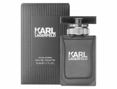 Karl Lagerfeld For Him EDT 100 ml