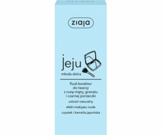 Ziaja Fluid-Face Concealer