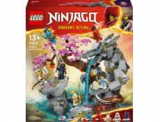 LEGO 71819 Stavebnice chrámu dračí kámen Ninjago