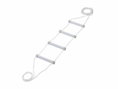 Rehabilitation bed ladder fluorescent