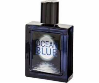 Omerta Silver Ocean EDT 100 ml