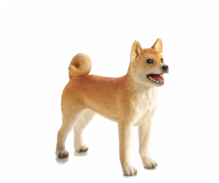 Mojo Pes shiba-inu