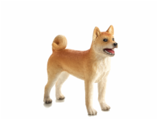 Mojo Pes shiba-inu