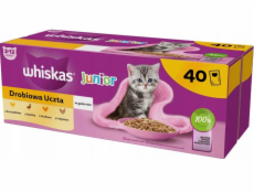 WHISKAS Junior Poultry in jelly - mokré krmivo pro kočky - 40 x 85g