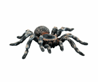 Tarantula biela