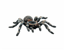 Tarantula biela