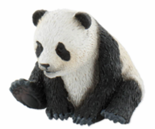 Panda mláďa