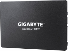 Gigabyte 1TB 2.5 SATA III SSD (GP-GSTFS31100TNTD)