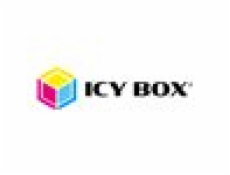 RAIDSONIC ICY BOX Docking Station IB-2924MSCL-C31