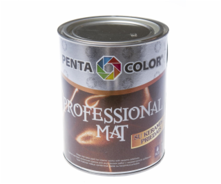 Základ barvy Pentacolor Professional Matt, emulze, 1l