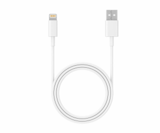 Tracer 47086 USB 2.0 iPhone AM Lightning 1m white