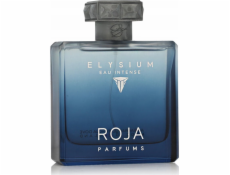 ROJA Parfums pánský parfém Roja Parfums Elysium Eau Intense EDP 100 ml