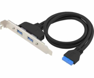 Conceptronic EMRICK11B 19-pin Dual USB-Extension