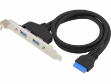 Conceptronic EMRICK11B 19-pin Dual USB-Extension