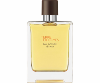 Hermes Terre d Hermes Eau Intense Vetiver EDP 100 ml