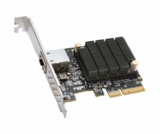 Solo 10G PCIe, LAN-Adapter