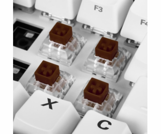 Kailh Box Brown Switch-Set, Tastenschalter