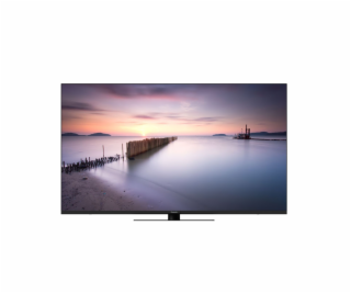 Panasonic TV-55W80AEZ schwarz