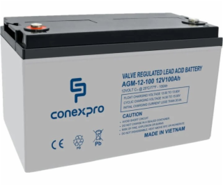 Baterie Conexpro AGM-12-100 VRLA AGM 12V/100Ah, T16 