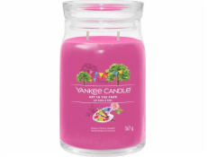 Svíčka ve skleněné dóze Yankee Candle, Umění v parku, 567 g