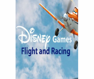 ESD Disney Flight and Racing