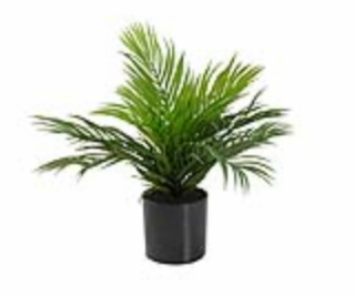 Areca palma, 46 cm Umelá kvetina 