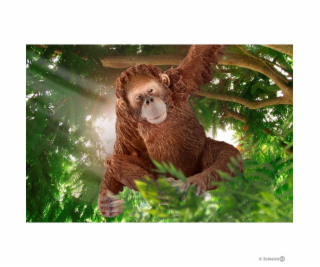 Schleich 14775 divoké zvieratko opica orangutan samica