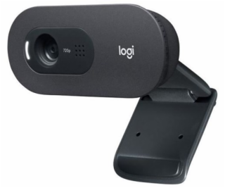 Logitech C505 HD Webcam