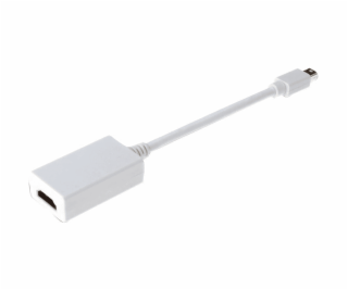 Digitus DisplayPort Adapter / Converter