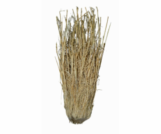 Lucky Reptile Grass Bushes 25-40 cm