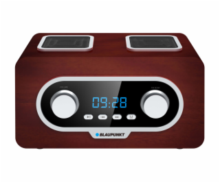 Blaupunkt PP5.2BR