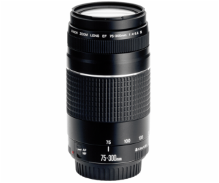 Canon EF DC  4,0-5,6/75-300 III